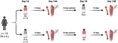 Short-Term Supplementation With Fermented Red Clover Extract Reduces Vascular Inflammation in Early Post-menopausal Women